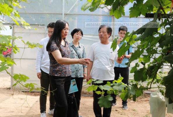 65ffc0530fd14f67bea640d98263b37c.jpg 360截图16591009252163.jpg