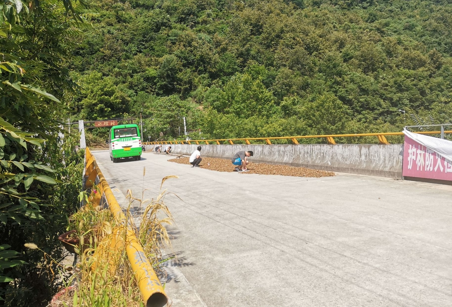 11975825a7234a2fa11ce62fd9007c5c.jpg 11975825a7234a2fa11ce62fd9007c5c.jpg